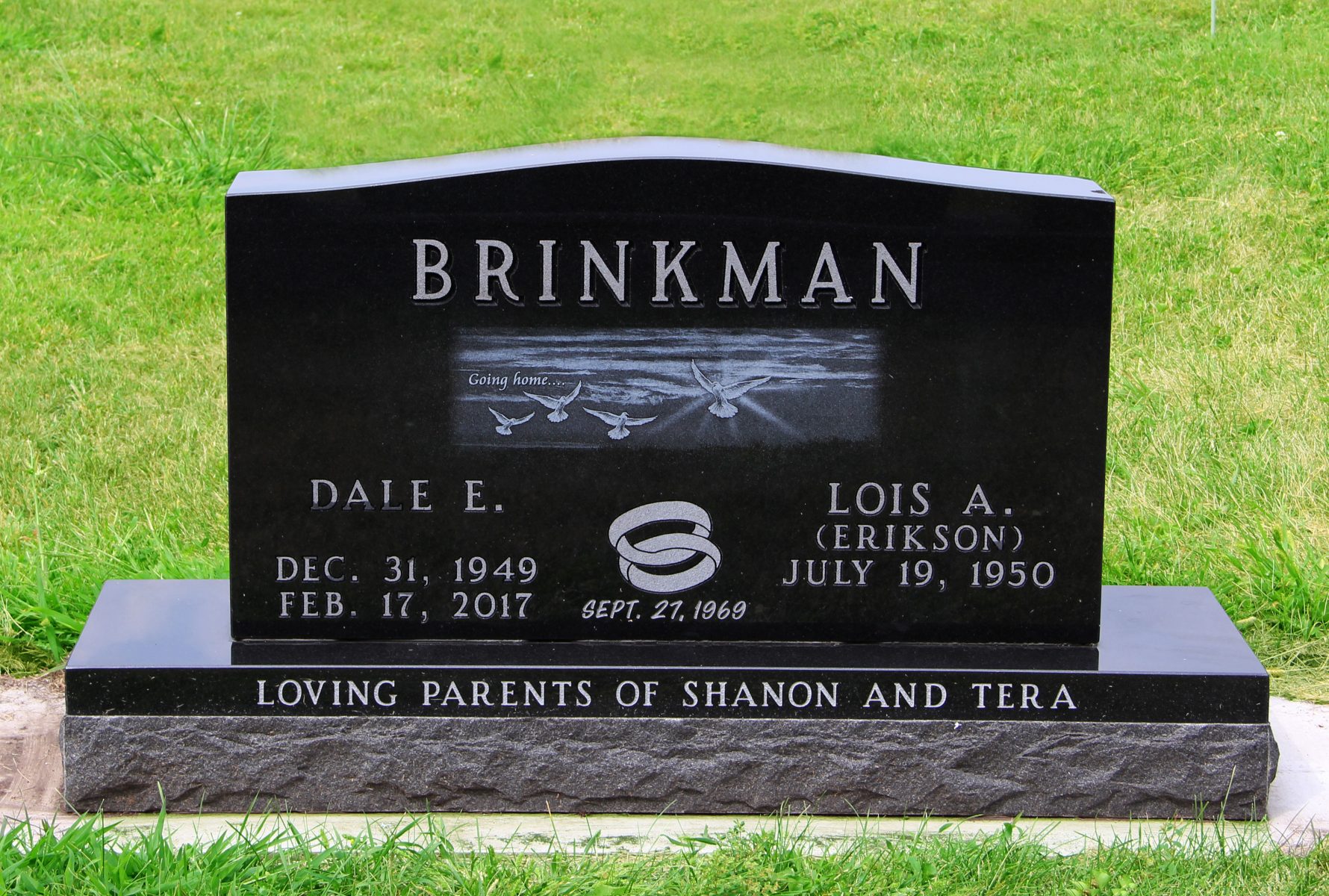 Brinkman Web