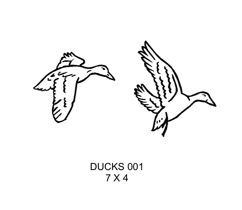 Ducks 001