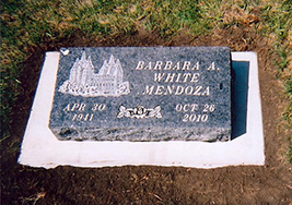 Mendozabarbara12
