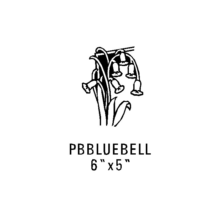 Pbbluebell