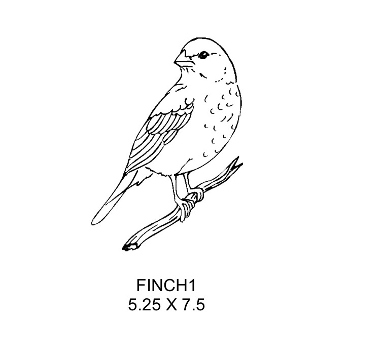 Finch1